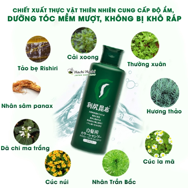 Dau-goi-bo-sung-mau-phu-bac-Rishiri-(2).jpg